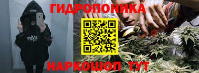 стаф Янаул