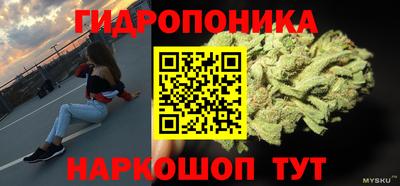 стаф Янаул