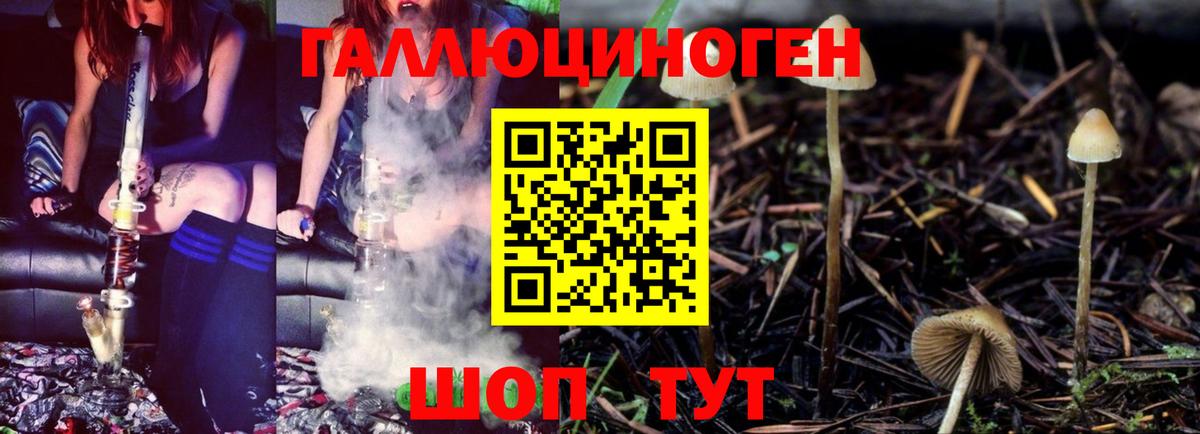 Псилоцибиновые грибы GOLDEN TEACHER Нарткала
